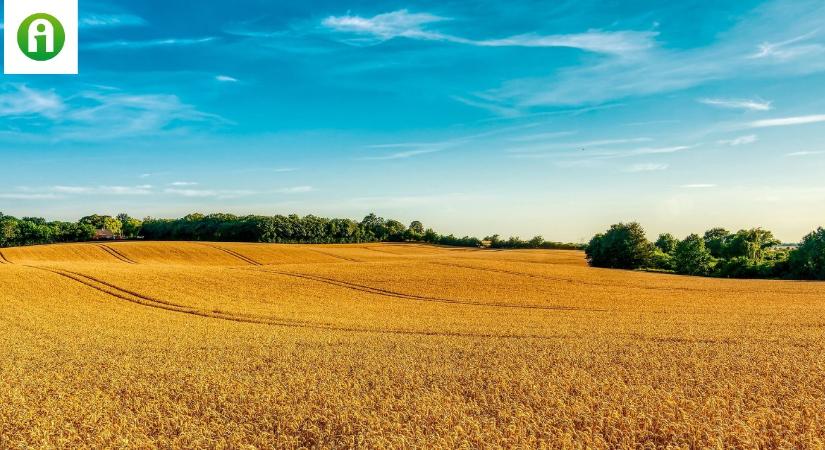 Az uniós agrártámogatásokat is a jogállamisághoz kötnék a svédek és a finnek