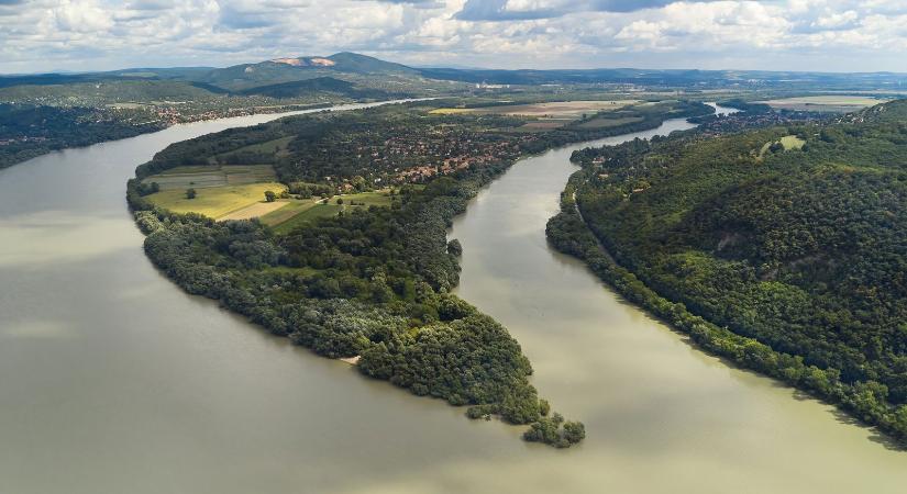 Hihetetlen élőlényt láttak a megáradt Dunában