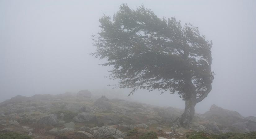 Brutális viharok érkeznek – ezekben a járásokban fog tombolni a szél! (TÉRKÉP)