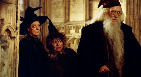 A Dumbledore-t alakító színész fia nem játszana a Harry Potter-sorozatban, nem is érti, minek az egész