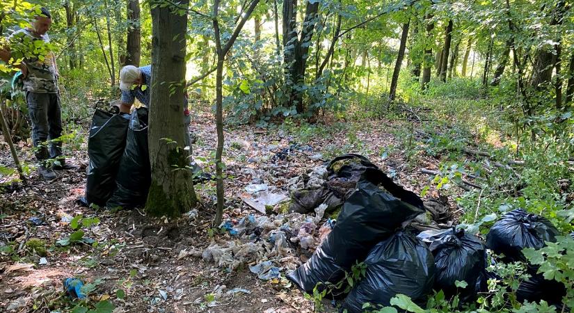 Rengeteg szeméttől szabadították meg a mecseki erdőket