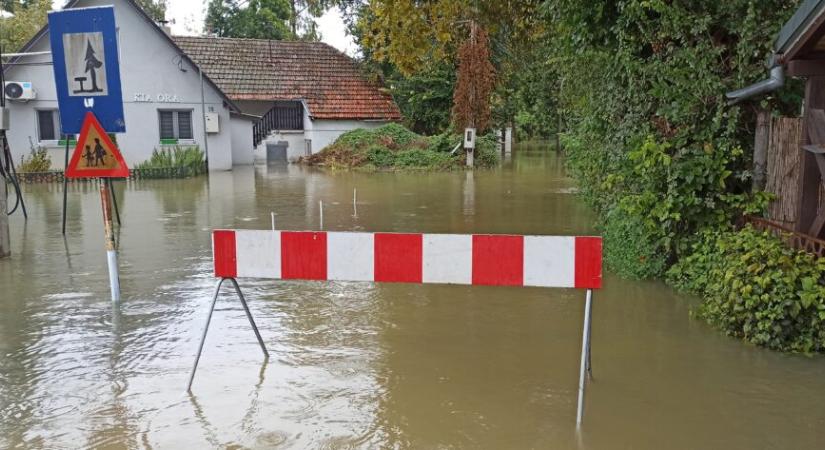 Így tetőzik a Duna Bezdánnál (Galéria)