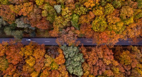 10 Celsius-fokkal esik vissza a hőmérséklet vasárnapra