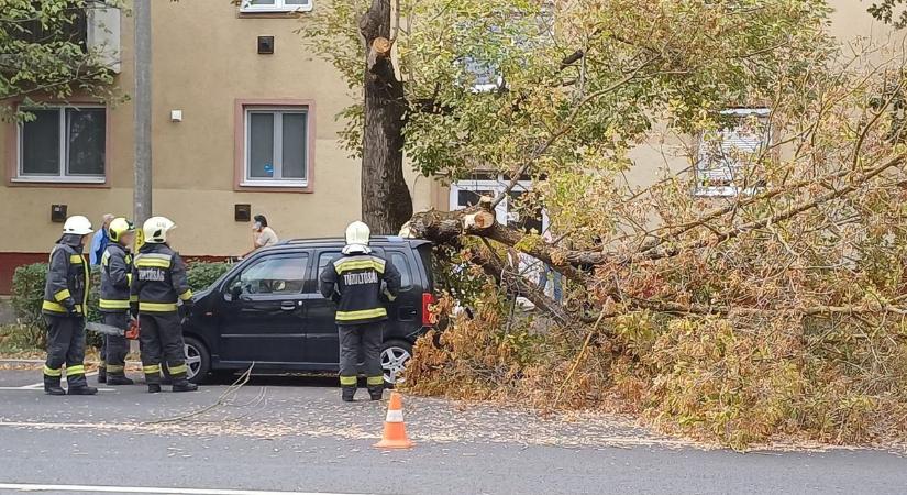 Parkoló autó tulajdonosa szívhatta a fogát csütörtök délután Debrecenben