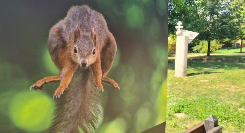 Szingapúri szuperfák, akrobata mókusok és potyautas kagylókolónia hirdeti az életet a FotoKozmán