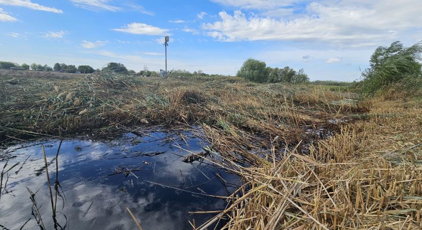 Meghibásodott a Mol vezetéke, nyersolaj ömlött a Kiskunmajsa melletti földekre