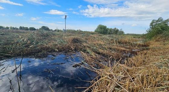 Meghibásodott a Mol egyik vezetéke, az abból kiömlő nyersolaj a hírek szerint egy szakaszon teljesen kipusztította a Marisi-csatorna élővilágát