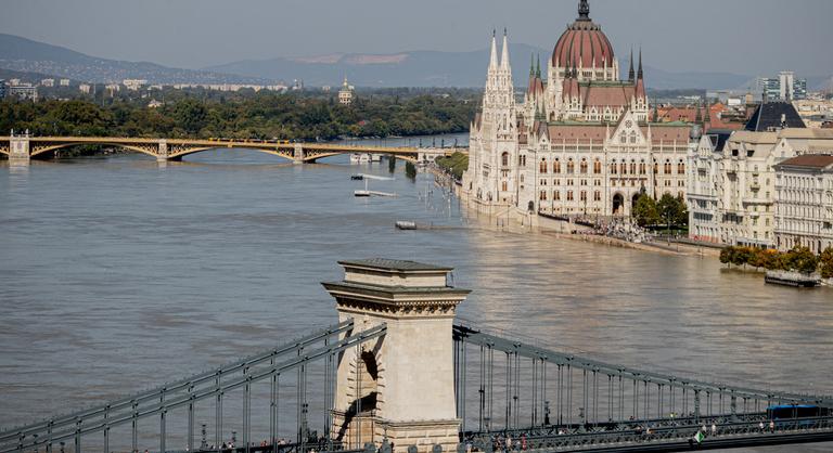 Patkányok ostromolják az árvíz után Budapestet