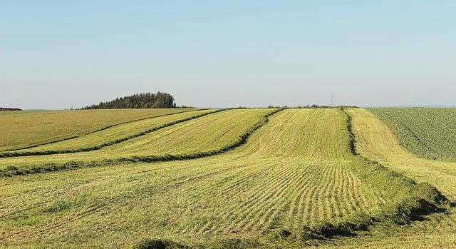 Véleményezhető az „Agrár-környezetgazdálkodási kifizetések” című pályázati felhívás