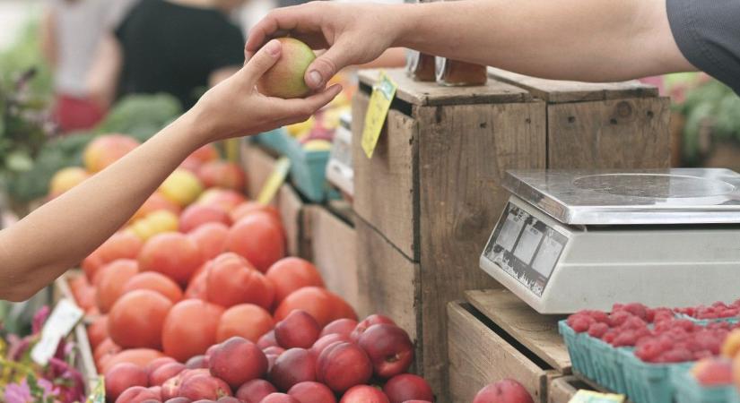 Ha szeretnénk biztosra menni a munkát illetően…