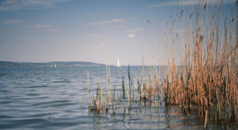 Büdös a víz a Balatonnál