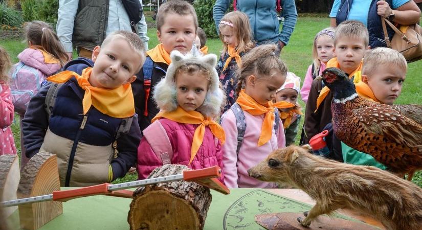 A hátrányos helyzetű gyerekek is megismerhetik az erdő világát