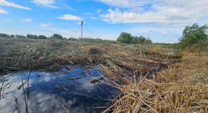 Veszélyben a termálfürdő, bajban a MOL