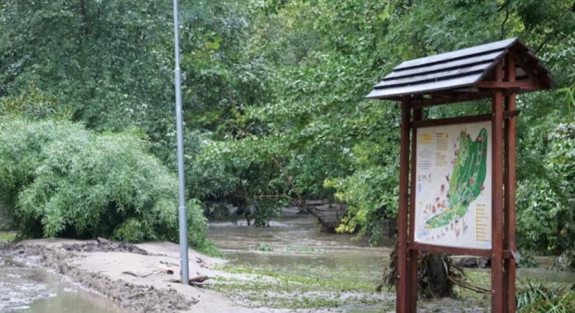 Mutatjuk, mikor nyit ki újra az árvíz után a pozsonyi állatkert