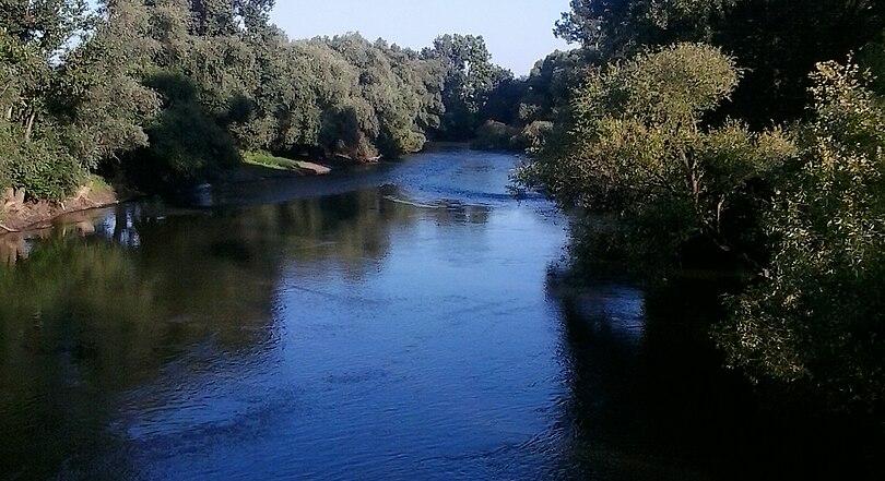 Vigyázat, mérgezőek a magyar folyóból kifogott halak