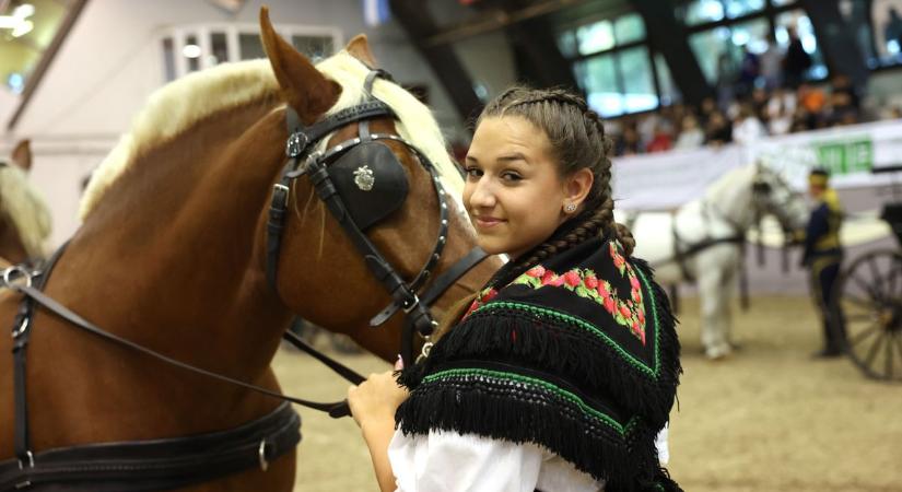 Európán kívüli campust hoz létre a MATE, elkezdődött a KÁN