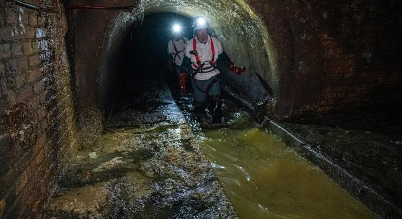 Több ezer fertőző betegséget azonosíthatnak Budapest szennyvizében