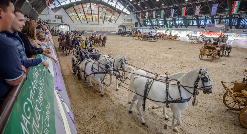 Ilyen a Dunántúl legnagyobb agrárrendezvénye (Képgaléria!)