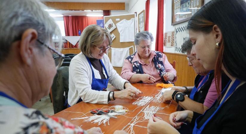 Szakkör egy teljes napon át: Szak 24 Kör - fotók