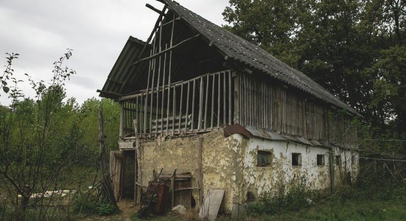 Medvetámadás Hajdú-Biharban: leszakította a kétszárnyas ajtót a medve