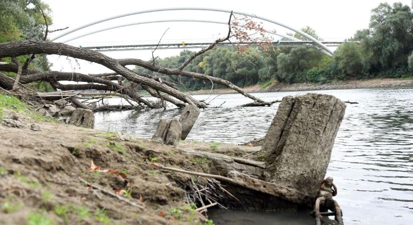 Elképesztő titkokat rejt a Tisza: ezek a rejtélyes maradványok bukkantak elő a mélyből