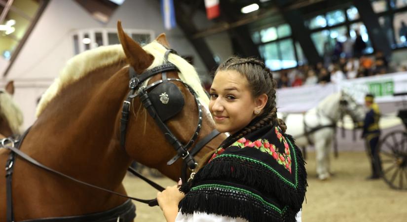 Ingyenesen látogatható a KÁN