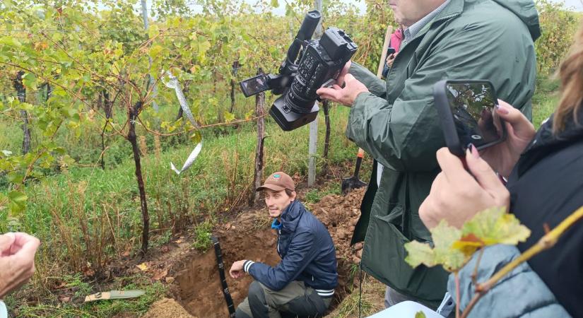 Feltárták a dél-balatoni dűlők földjét, hogy még szebb borok készülhessenek