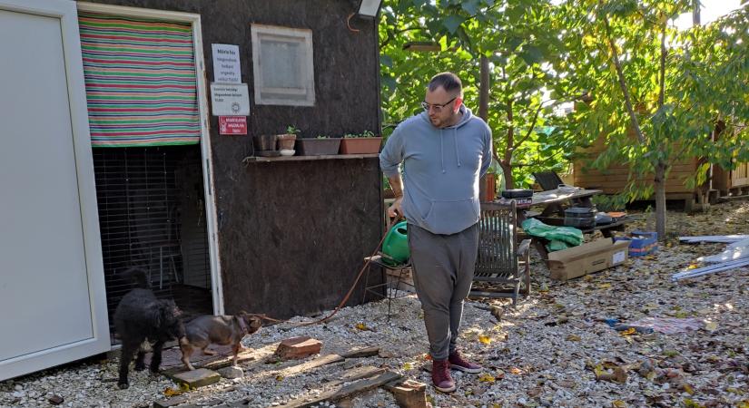 Nagytakarítást tartanak jövő szombaton a Hódmezővásárhelyi Állatvédők Egyesületénél