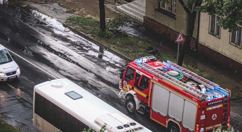 Faág akadályozta a forgalmat Galamboknál