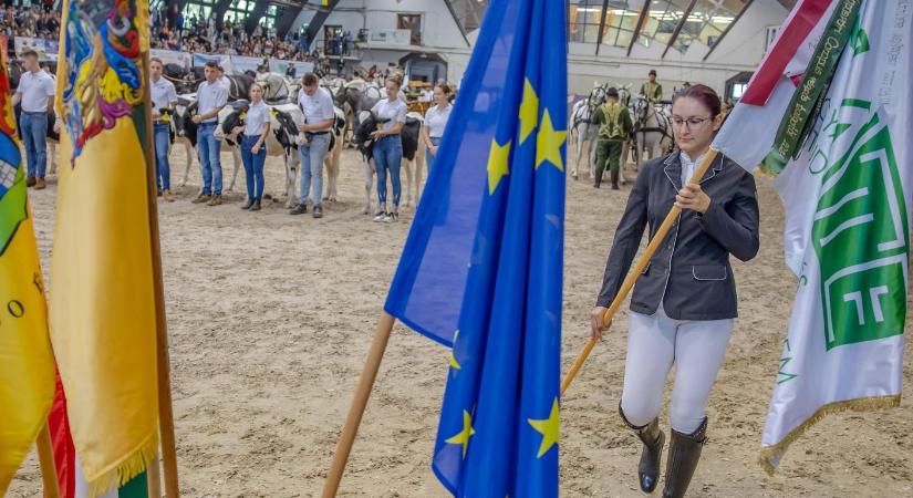 Továbbra is lesz helye a magyar mezőgazdaságban az állattartásnak