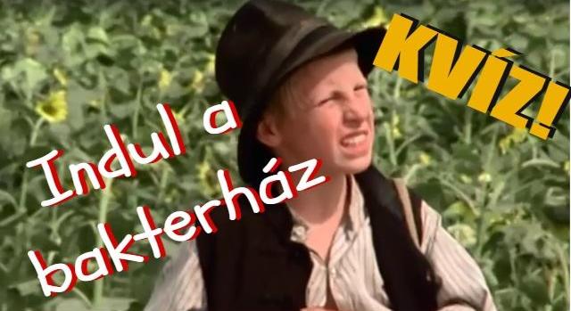 Kvíz: Indul a bakterház villámkvíz. Emlékszel erre a kultikus filmre?