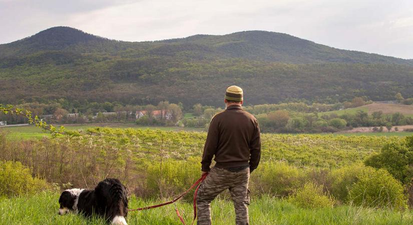 Elhordanák a hegyet, hogy sittet hozzanak a helyére a Pilisben