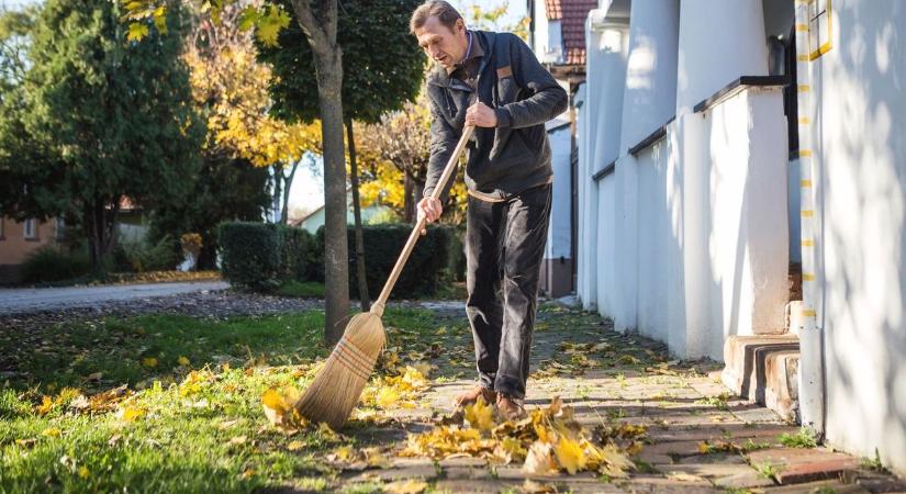 Tele van a járda lehullott falevéllel, kinek kell eltakarítania? A debreceni ügyvéd nem kertelt!