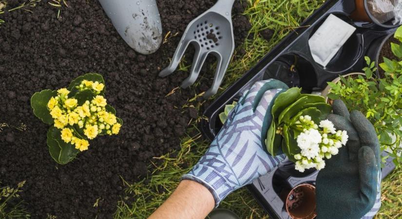 Kertészkedés – hobbiból hivatás?!