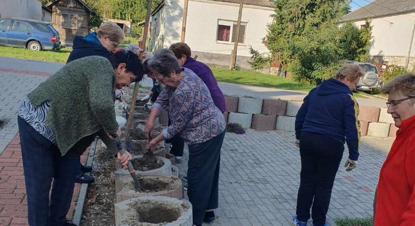 Krizantémok boríthatják be hamarosan a község főterét