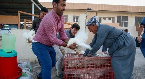 Fordult a migránskocka, egyre több a hazatérők száma