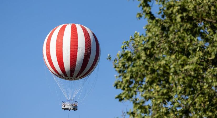 Liget Budapest: újabb állomásához érkezett a Városliget zöldfelületének megújítása