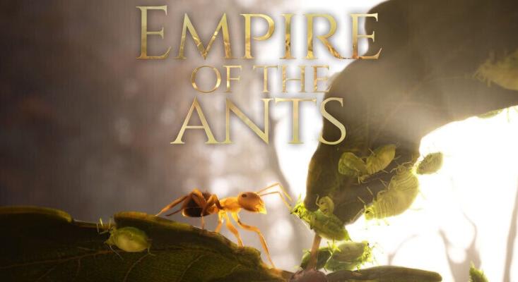 Empire of the Ants - Hangyák mozgásban