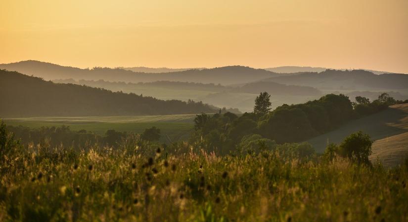 A gyepi ökoszisztémák jelentősége