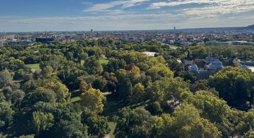 Újabb zöldterületekkel folytatódik a Városliget szépítése