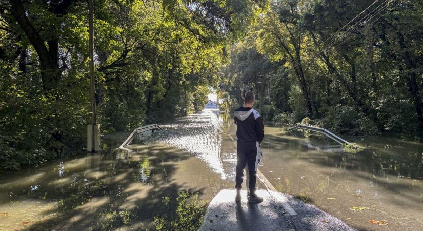 A Dunánál derékig vízben állnak, a Tisza mellett kiszáradnak a fák