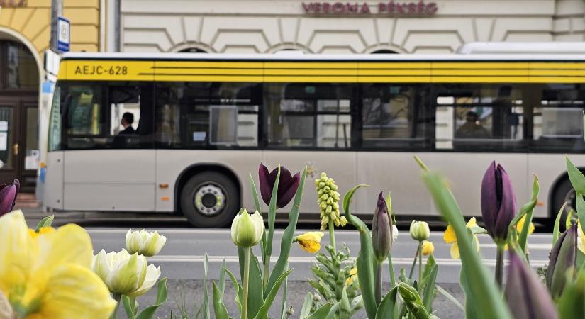 DKV: változik több járat számozása és indulási időpontja