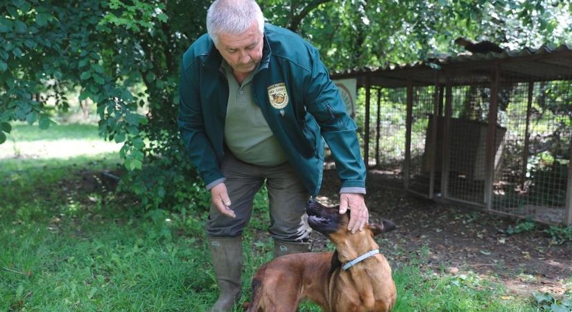 Ötvenfős előadóteremmel bővül a Martonfai Vadászudvar