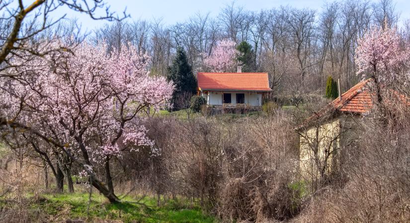 Átvert az eladó! Ahogy megvettük a nyaralót, a szomszéd levágta a házunkat a derítőjéről, mert ők így egyeztek meg