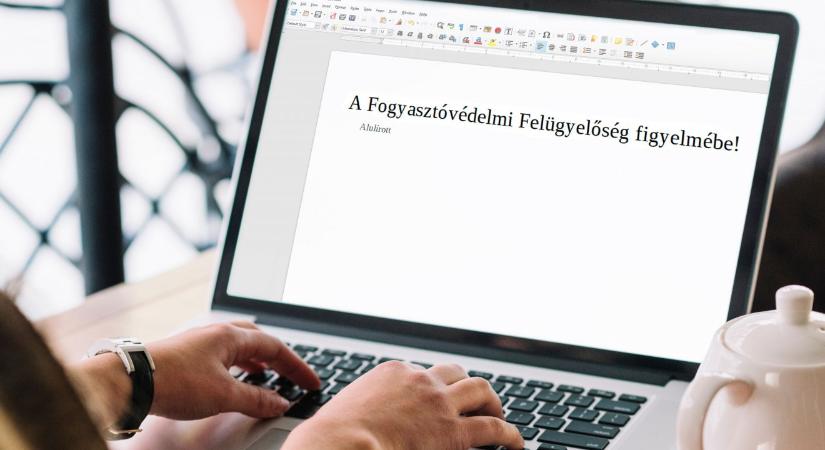 Követendő példa lehet a fogyasztóvédelem viszonyulása az anyanyelvhasználathoz