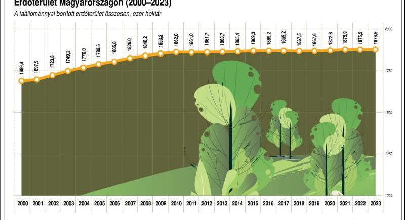 Agrárminisztérium: európai közös nyilatkozatot fogadtak el az erdők védelméről