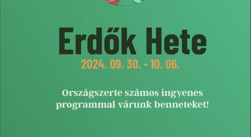 Elindult az Erdők hete programsorozat