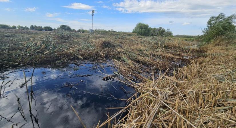 Olajjal szennyeződött a kiskunmajsai fürdő felszíni vízelvezetője