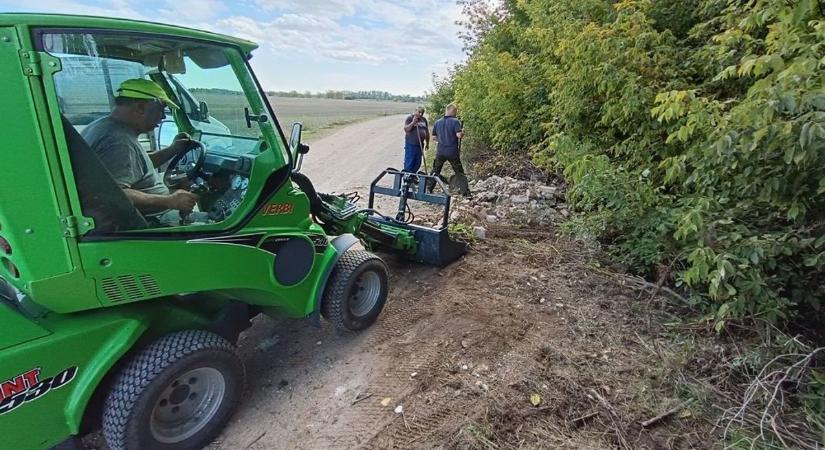 Szélmalomharcot vívnak az illegális szemetelőkkel (videó)