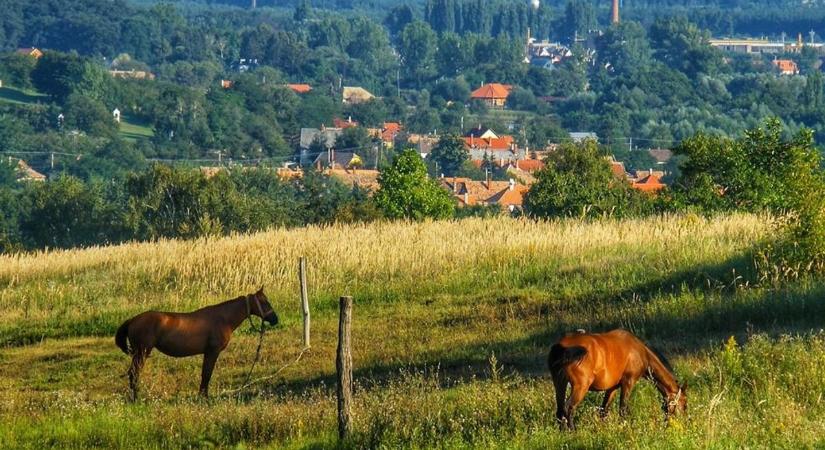 Környezetszennyezési vádak Oroszlány közelében